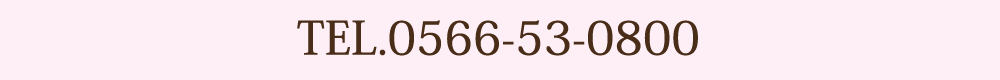 電話番号0566-53-0800