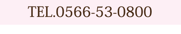 電話番号0566-53-0800